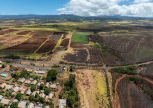 Kauaʻi Wants New Homes To Resist Fire. It's Cheaper Than You Might Think