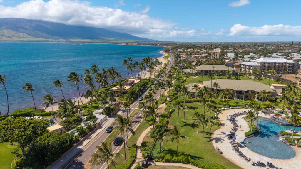 Rebuilding, Mental Health And Groundwater: Maui County Mayor Candidate Q&As